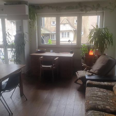 La Puisatiere 80 M2 Apartment Strasbourg Bagian luar foto