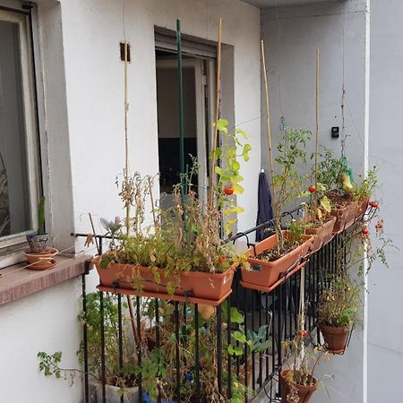 La Puisatiere 80 M2 Apartment Strasbourg Bagian luar foto