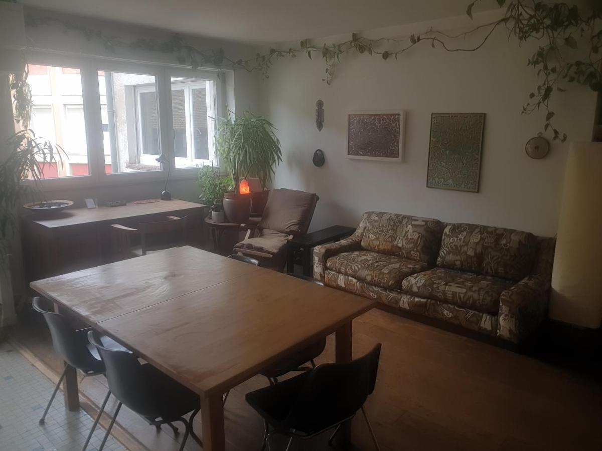 La Puisatiere 80 M2 Apartment Strasbourg Bagian luar foto