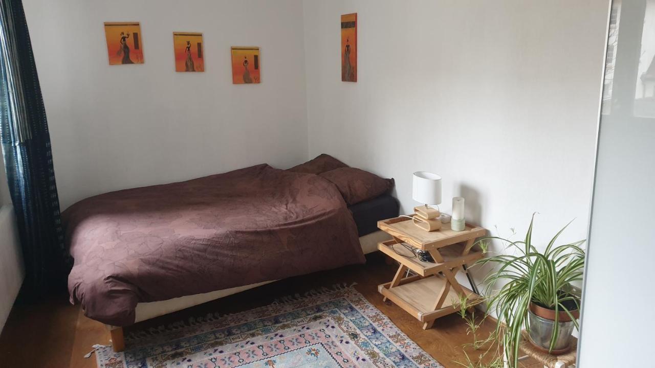 La Puisatiere 80 M2 Apartment Strasbourg Bagian luar foto