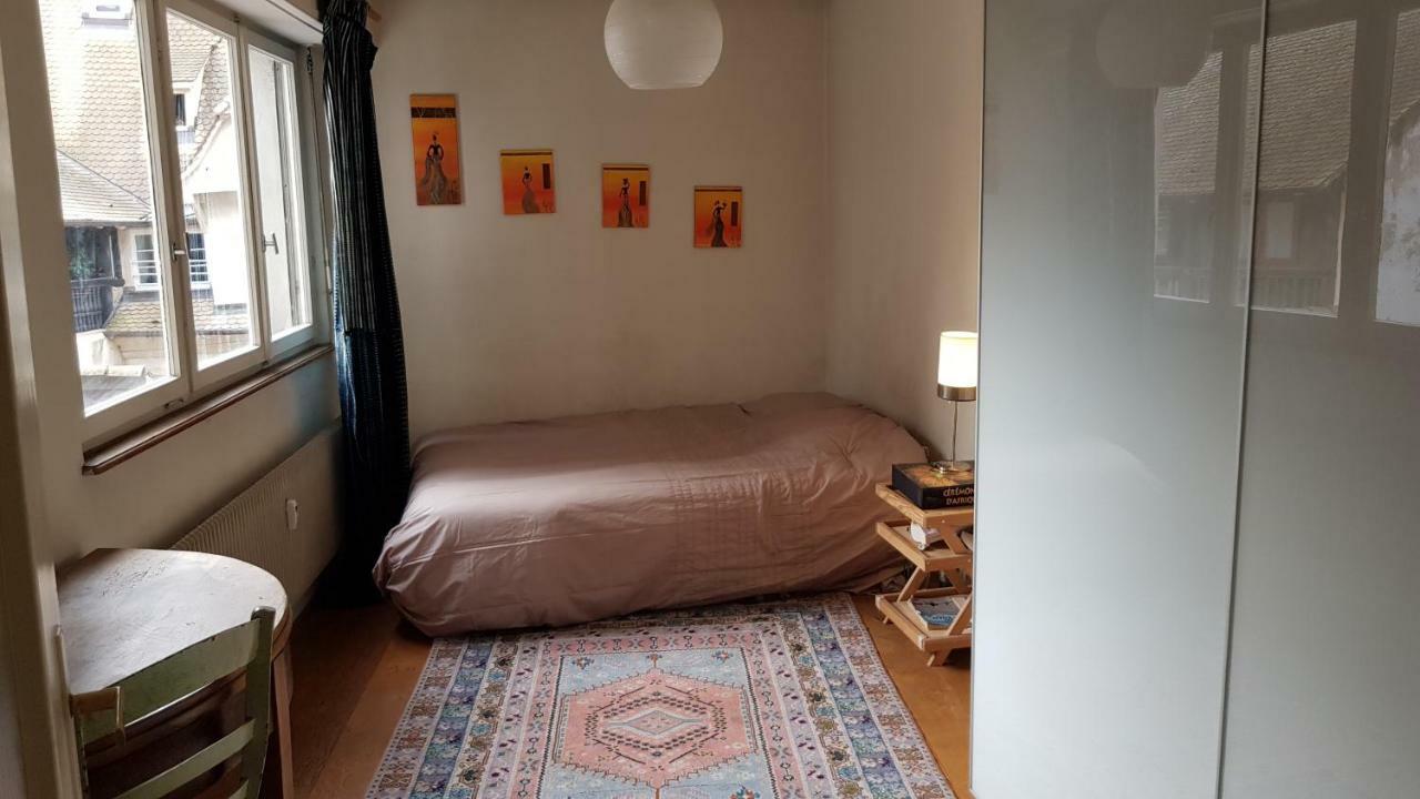 La Puisatiere 80 M2 Apartment Strasbourg Bagian luar foto